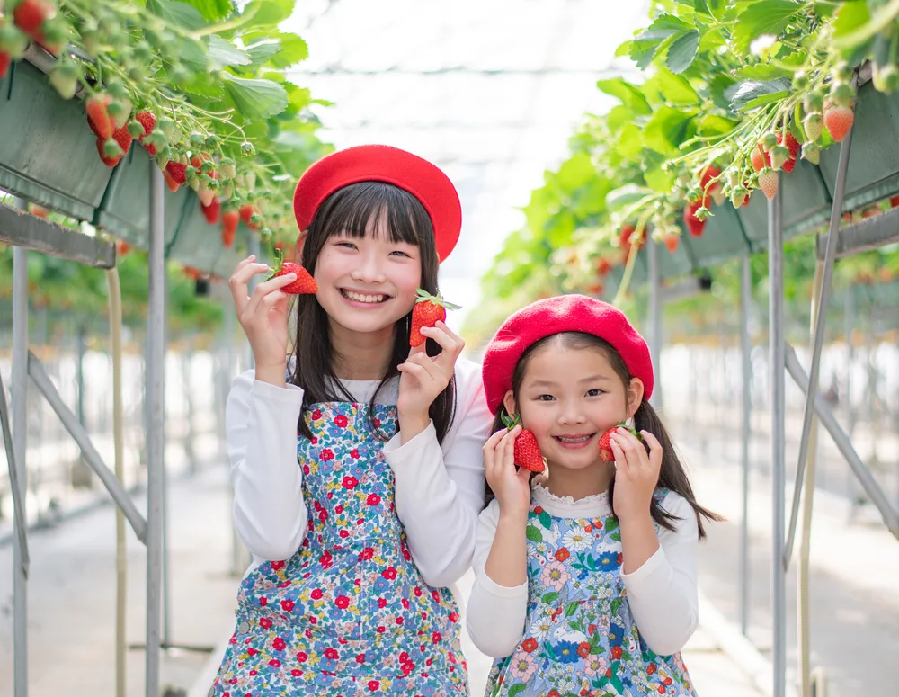 フルーツパフェ&カフェ