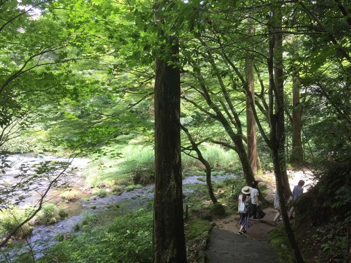 黒崎BASE ロケーション(海・里山)5