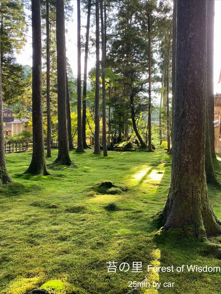 ログBASE Forest 森・ロケーション1