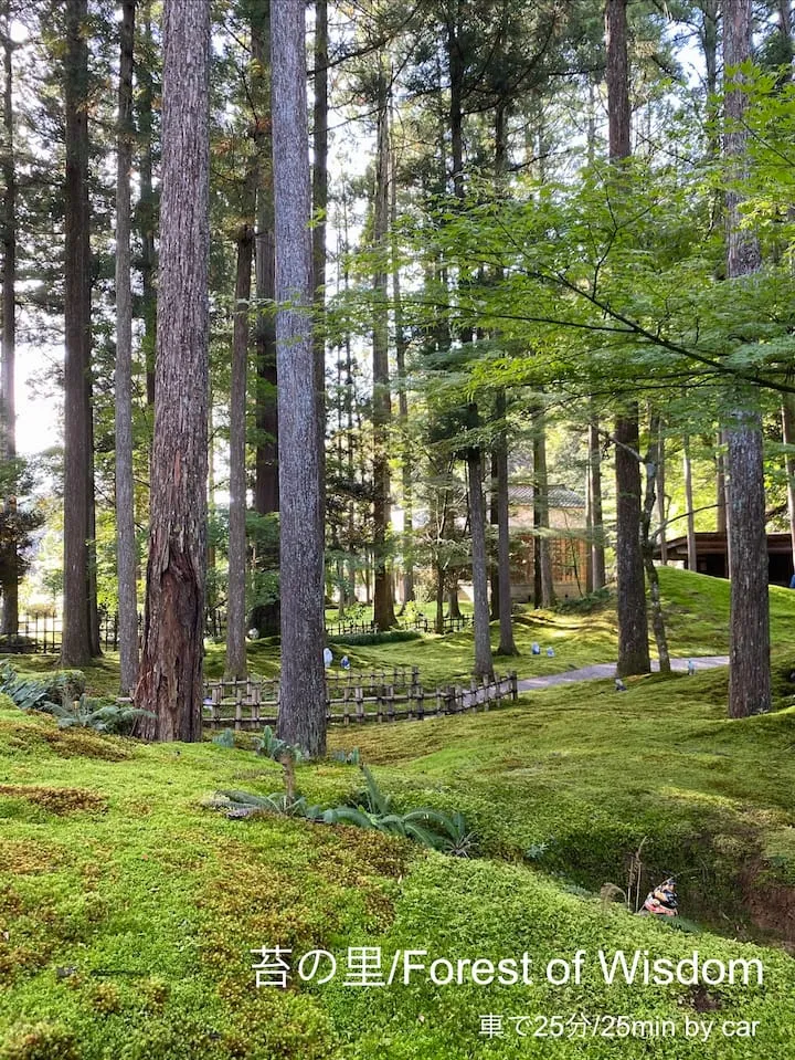 ログBASE Forest 森・ロケーション2
